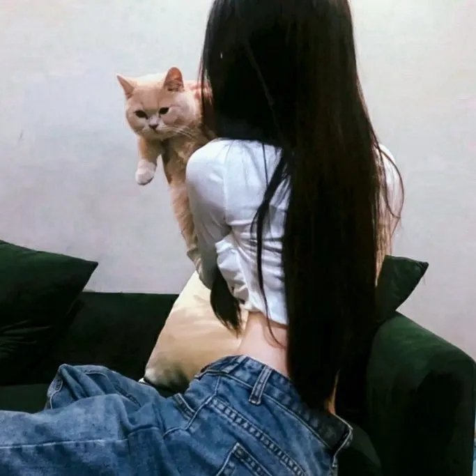 追捕